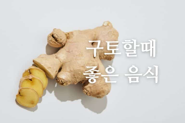 구토 할 때 먹으면 좋은 음식