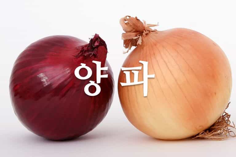 양파 껍질 차 효능