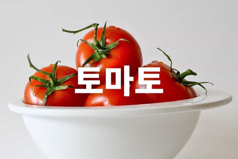 토마토