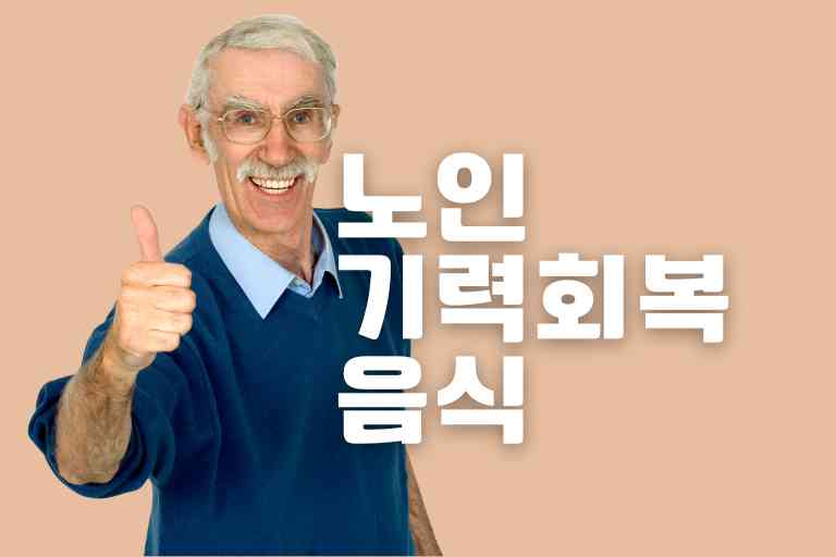 노인 기력회복 음식