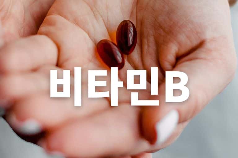 비타민b 영양제 추천