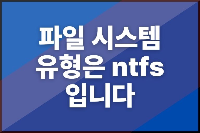 파일 시스템 유형은 ntfs입니다. 볼륨 버전과 상태를 결정할 수 없습니다. chkdsk를 중단했습니다