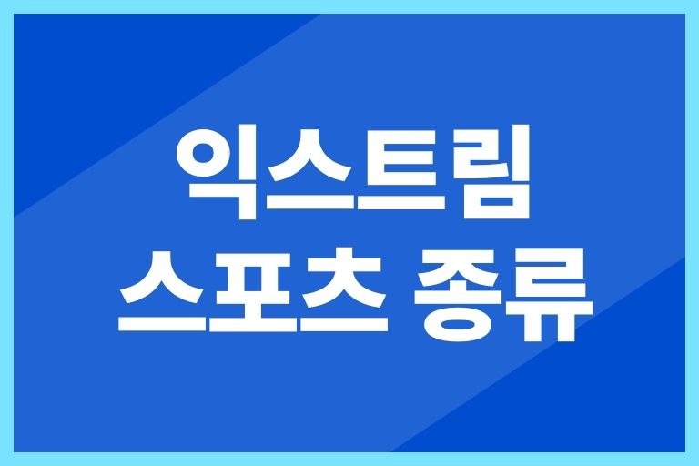 익스트림스포츠 종류