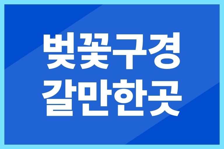 벚꽃구경 갈만한곳