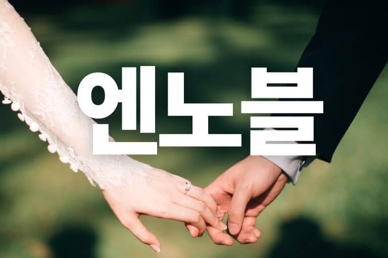 엔노블 결혼정보회사 후기 비용 가입 특징