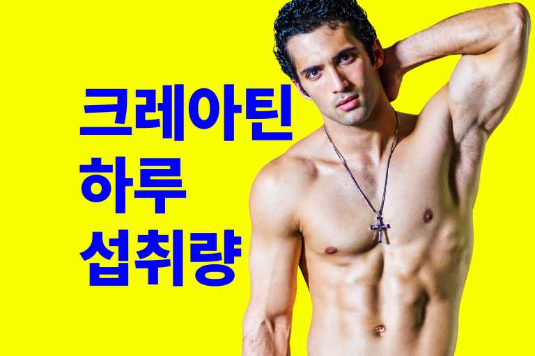 크레아틴 하루 섭취량
