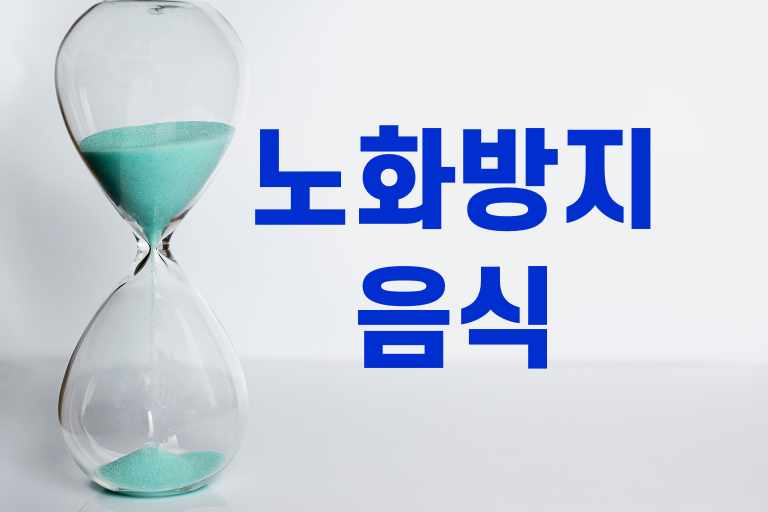 노화방지 음식