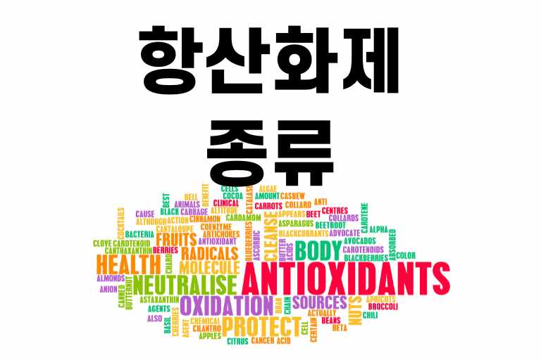 항산화제 종류