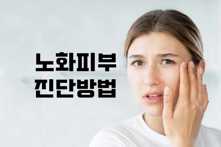 노화 피부 진단 방법