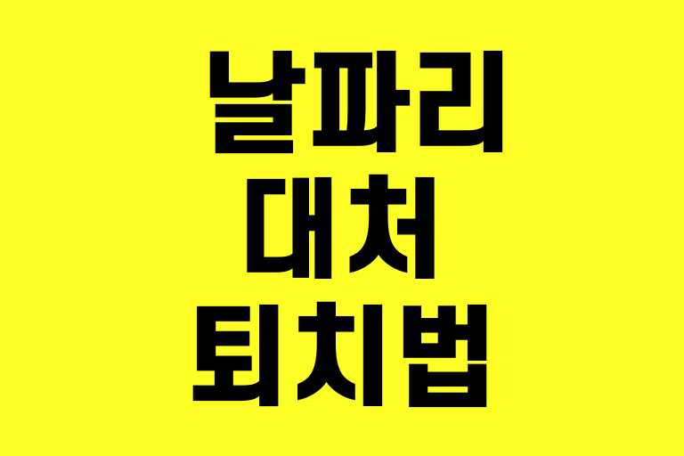 집에 날파리가 너무 많아요