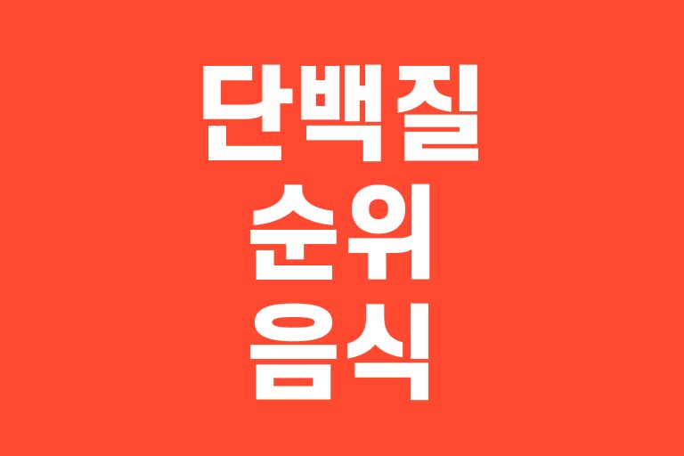 단백질 순위 음식