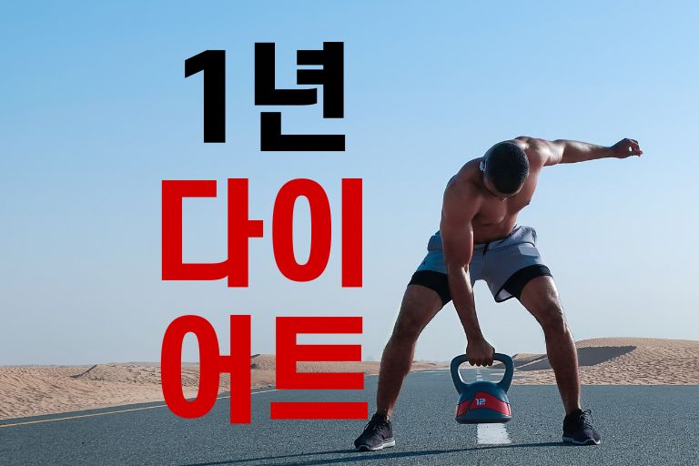 1년 다이어트