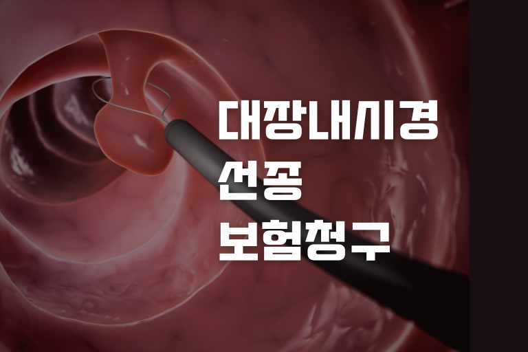 대장내시경 선종 보험청구