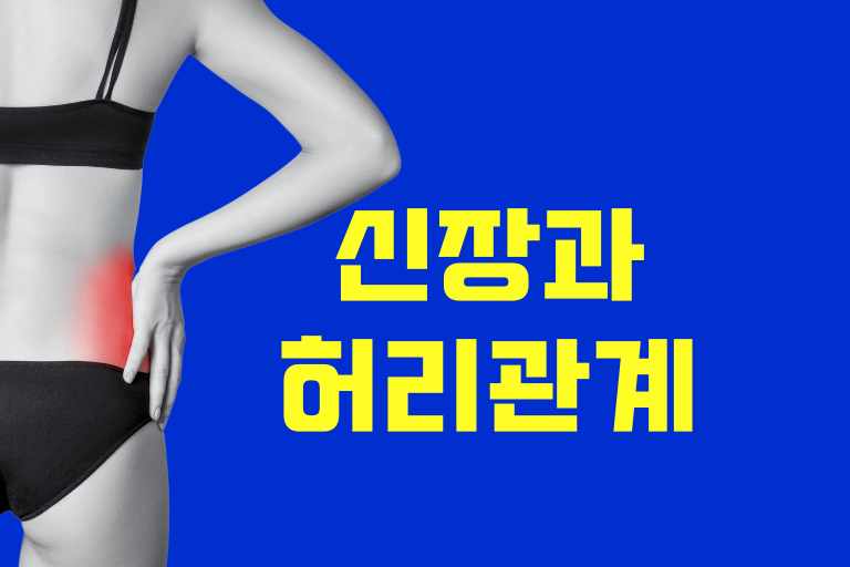 신장이 안좋으면 허리가 아픈가요