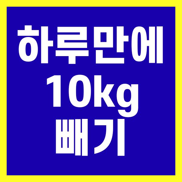 하루만에 10kg 빼기