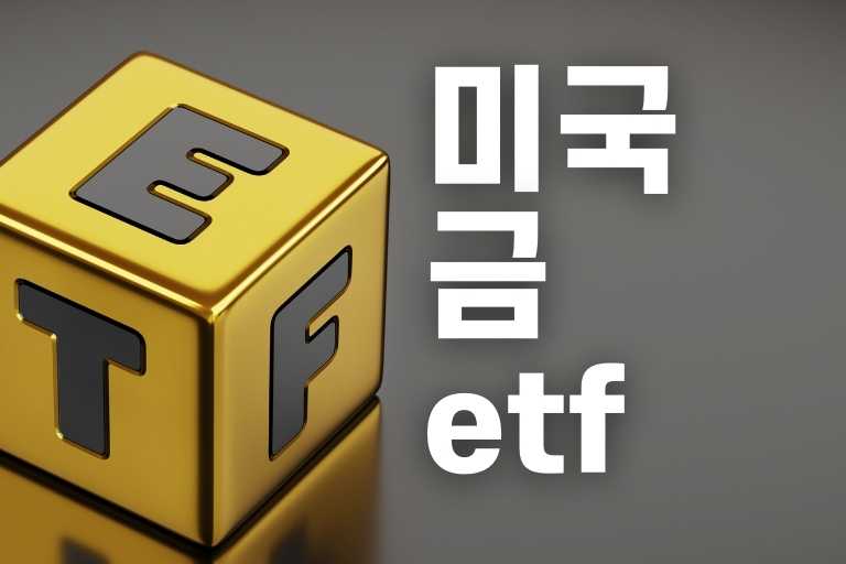 미국 금 etf