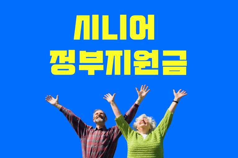 시니어 정부 지원금