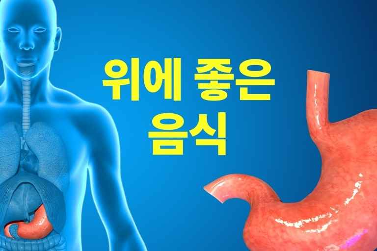 위에 좋은 음식 10가지