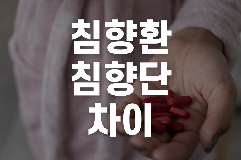 침향환 침향단 차이