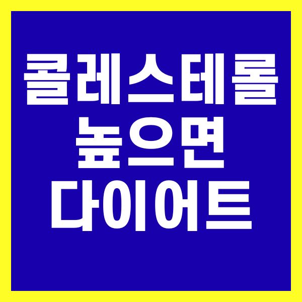 콜레스테롤 높으면 다이어트