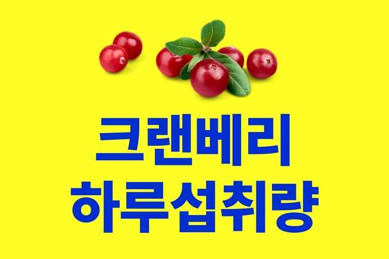 크랜베리 하루 섭취량