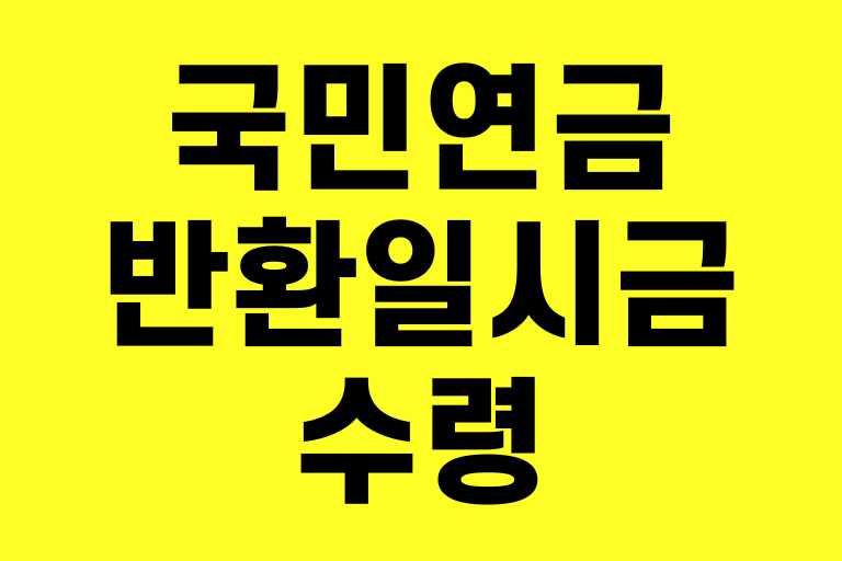 국민연금 반환일시금 수령