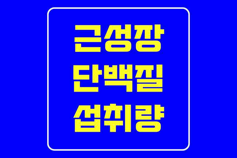 근성장을 위한 단백질 섭취량