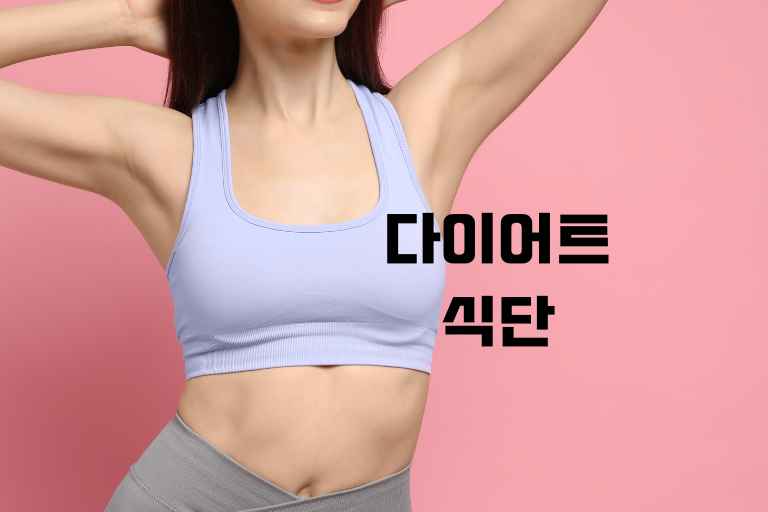 다이어트 식단