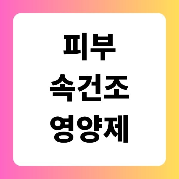 피부 속건조 영양제