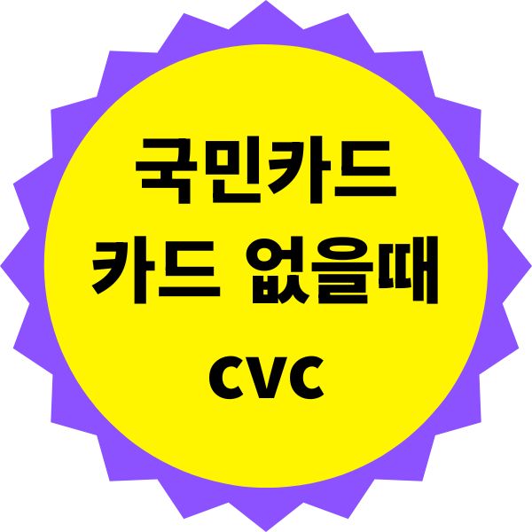 국민카드 실물 카드 없을 때 cvc
