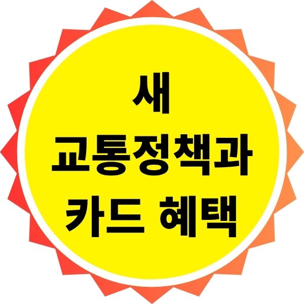 새 교통정책과 카드 혜택